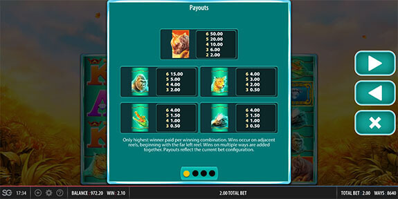 Raging Rhino Megaways Paytable